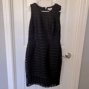 🌼CK a black Dress